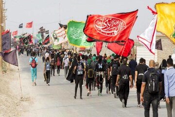 پروازهای اربعین بین ۲۰ تا ۲۵ درصد افزایش خواهد داشت/ عبور ۶۰ درصد زائران اربعین از مرز مهران