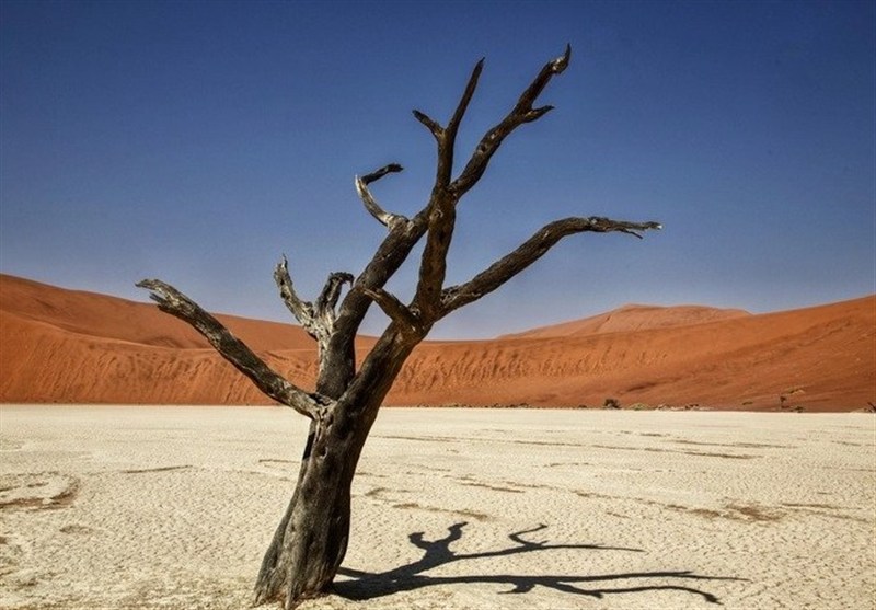 چرا ترویج ذکرها و نسخههای بیریشه خطرناک است؟