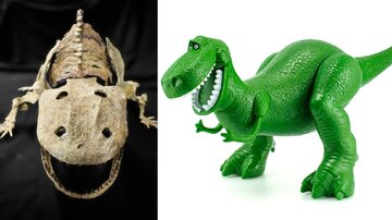 کشف فسیل دایناسور دوستداشتنی «داستان اسباببازی» / عکس