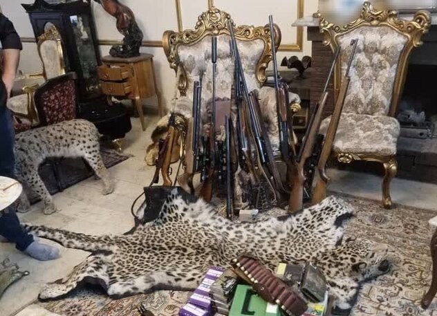 کشف محموله عظیم حیوانات تاکسیدرمی و سلاحهای شکاری در تهران