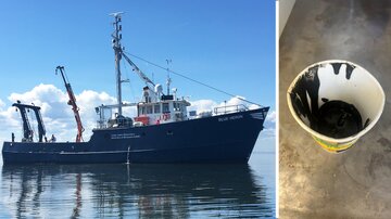 کشف موجود زنده ناشناخته در روغن سیاهِ اسرارآمیز کشتی