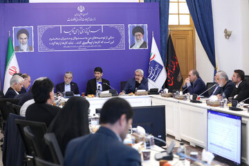 کلیات «آییننامه ضوابط حاکم بر کاروران سلامت دیجیتال» تصویب شد