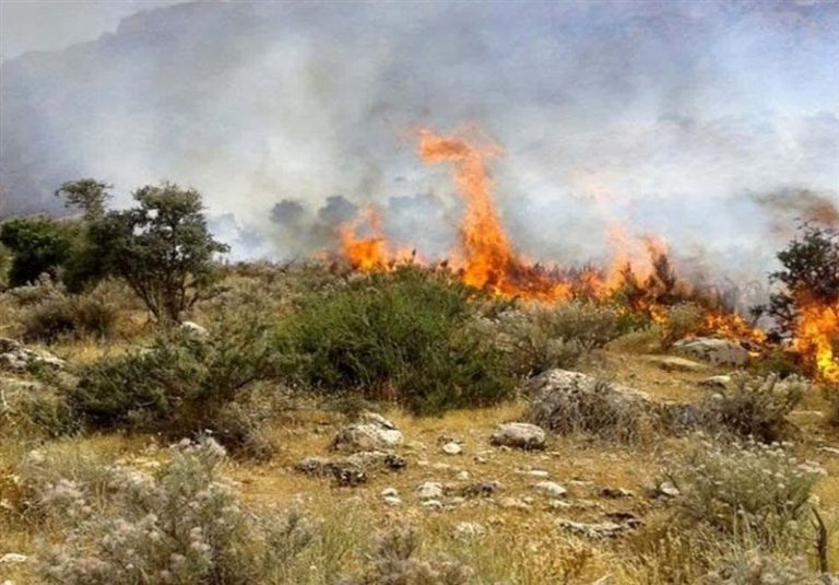 آتشسوزی هفته گذشته کجا رخ داد دیل یا خارج از آن؟