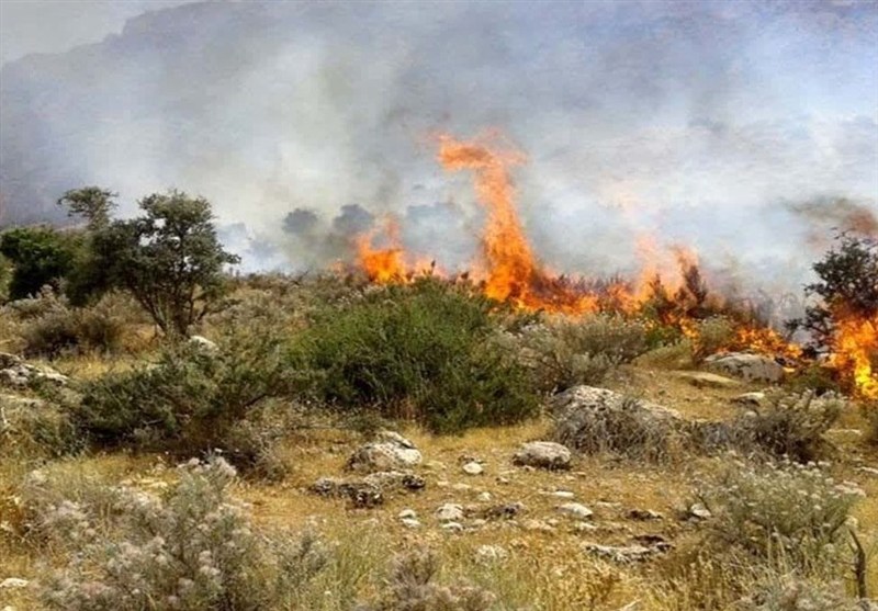 آتشسوزی هفته گذشته کجا رخ داد دیل یا خارج از آن؟