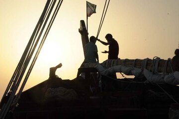 اکران آنلاین تاریخچه‌ کشتی سنتی جنوب