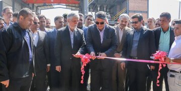 بزرگترین طرح گازرسانی روستایی کشور در بافت افتتاح شد