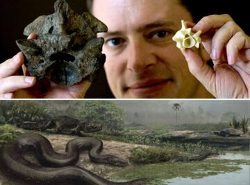 بیرون کشیدن مار ۹۰۰ کیلویی از معدن زغالسنگ / عکس