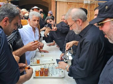 تصاویری جالب از پذیرایی علی لاریجانی از زائران در موکبی در کربلا