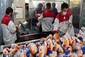 تغییر مهم در قیمت مرغ/ مرغ چه زمانی ارزان می‌شود؟