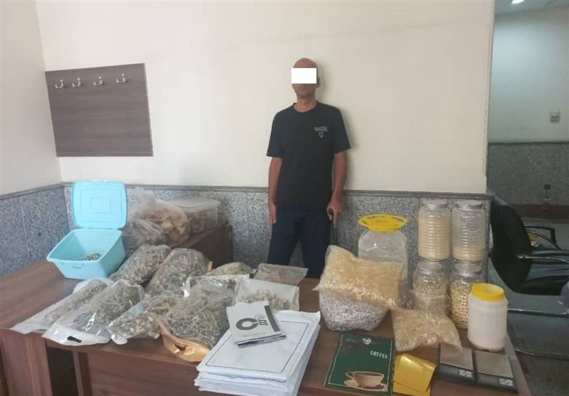 دستگیری موادفروشی با ۲۰۰۰فالوئر در اینستاگرام/ کشف ۱۷کیلو قارچ سمی توهمزا