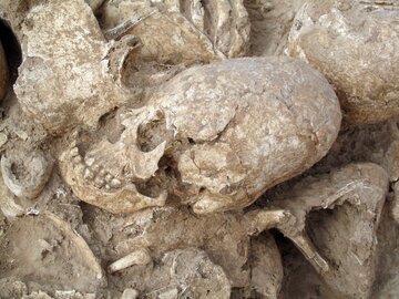 رازهای جمجمه دختری که ۶۲۰۰سال قبل در جنوب ایران با ضربه به سرش کشته شد