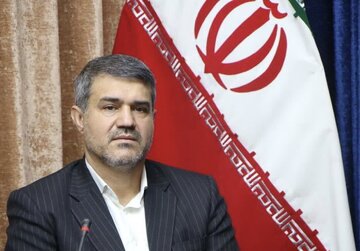 رشد ۲۶ درصدی کشفیات سلاح در استان کرمان