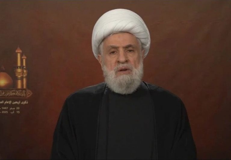 شیخ نعیم قاسم : مقاومت، نتیجه مکتب کربلاست/سلاح مقاومت تا رفع اشغالگری باقی است