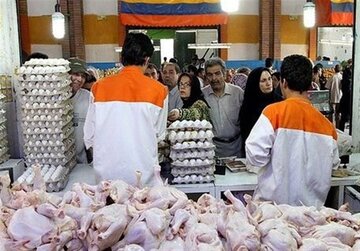 قعطی برق، قیمت مرغ را افزایش داد؟