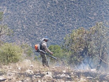 مهار آتشسوزی جنگلهای چهاربید سالوک با مشارکت ۱۵۰ امدادگر