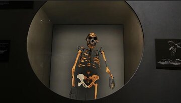 نمایش اسکلت کهنسالترین زن جهان، برای نخستین بار در اروپا