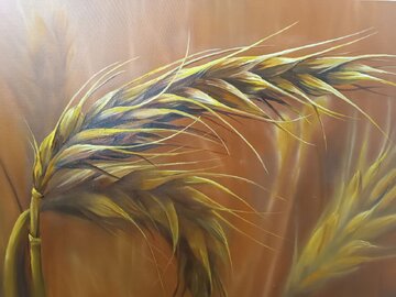 نمایشگاه آنلاین رام خفاجی؛ از اهواز تا عمان