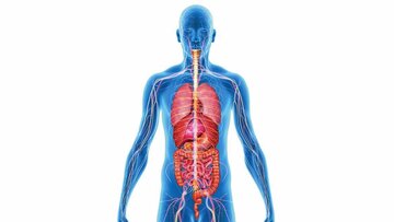هزینه ساخت یک انسان ۷۰ کیلوگرمی: ۷۰ برابر مصرف برق جهان!
