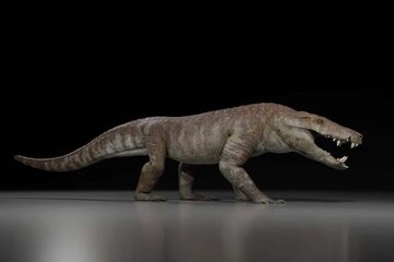 کشف هیولای دایناسورخوار / این تمساح غولپیکر بیرون از آب شکار میکند