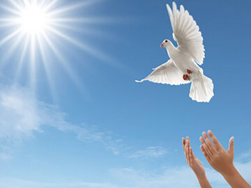 اجرای پویش «به عشق پیامبر میبخشم» به مناسبت هفته وحدت در کرمان