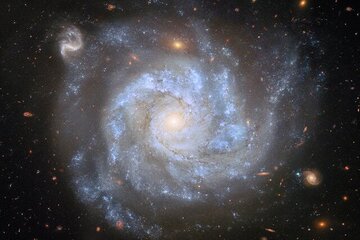 ادعای جدید یک دانشمند: «حیات روی کره زمین نه اتفاقی بلکه مهندسیشده است!»