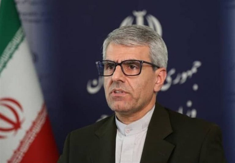 بقائی: قرارداد ۲۵ ساله با چین در حال اجرا است/ ایران در پیگیری منافع خود در برابر خواستههای اروپاییها جدی است