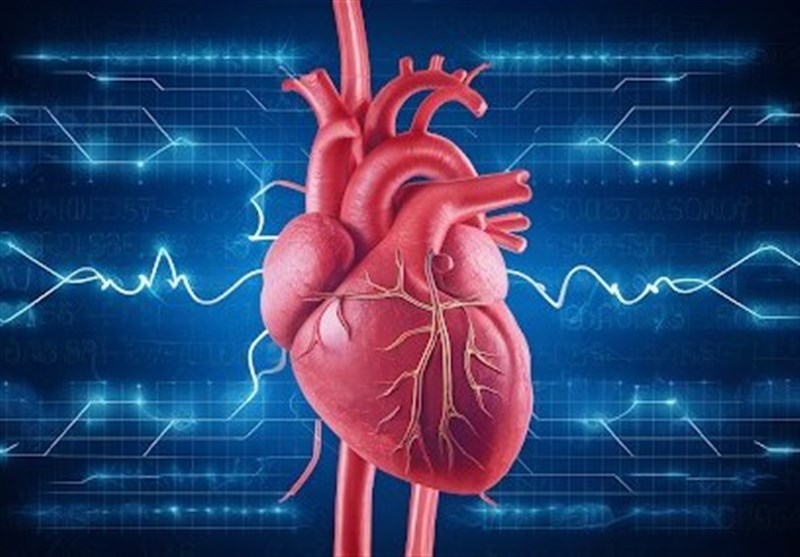 بهترین ورزشها برای بهبود گردش خون/ خواب منظم تضمینی برای سلامت قلب