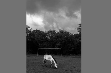 تقدیر از عکاس سیستانوبلوچستانی در شارجه