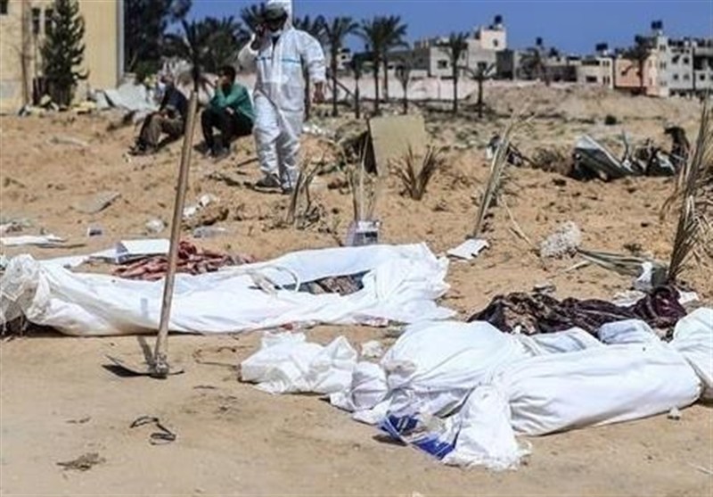 تکرار صحنههای وحشتناک حمله سگها به پیکرهای شهدا/ زنگ خطر تعطیلی بانکهای خون در غزه