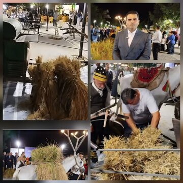 جشنواره شکرانه برنج در بندر کیاشهر برگزار شد