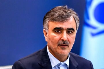 خبر مهم بانک مرکزی درباره ارز ترجیحی/ سیاست تخصیص ارز ترجیحی برای کالاهای اساسی ادامه دارد