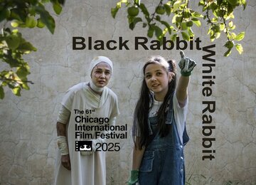 «خرگوش سیاه خرگوش سفید» به شیکاگو میرود