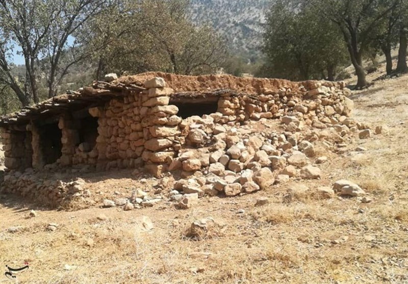 دهقان: بنیاد مستضعفان بساط مدارس سنگی را برمیچیند/ یک هزار کلاس درس ساختیم