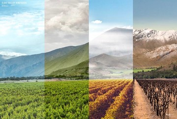 شاید چند متر آن طرفتر فصل دیگری باشد!