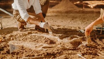 فسیل ۵۲۰ میلیون ساله با مغز و رودههایی سالم مثل روز اول پیدا شد!