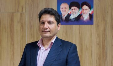 معاون اقتصادی استاندار کرمان از رشد سرمایهگذاری خارجی خبر داد