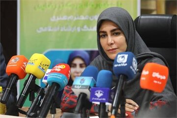 نادره رضایی برکنار شد/ محمدمهدی احمدی سرپرست معاونت امور هنری شد