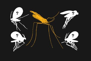 همسایههایی که در سایه و در کنار ما میزیستند!