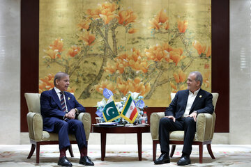 پزشکیان: اینکه جوامع اسلامی با فقر و درگیری و مشکلات متعدد مواجه باشند، برای من قابل پذیرش نیست/ هیچ فاصلهای بین مردم ایران و پاکستان نیست