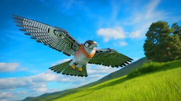 پهپاد متفاوت چین به راحتی دشمن را غافلگیر میکند / ربات پرنده یا شاهین واقعی؟