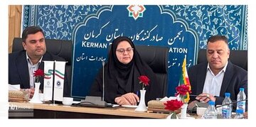 گام نخست کرمان برای تبدیل به پایلوت استانداردسازی صنایعدستی در ایران