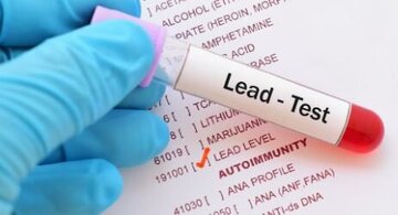 اثرات سرب بر سلامتی/ چه مقدار سرب «بیش از حد» است؟