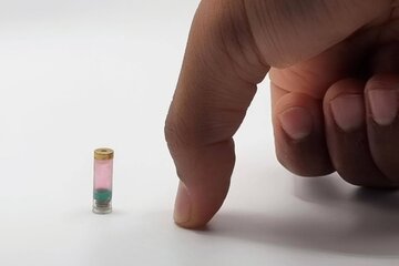 انقلاب در پزشکی: چاپگر زیستی بلعیدنی زخمهای درون بدن را بدون جراحی ترمیم میکند