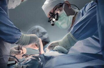 اولین پیوند موفق کبد خوک به انسان زنده در چین