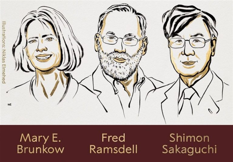 برندگان جایزه نوبل پزشکی ۲۰۲۵ اعلام شدند