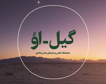 برگزاری نمایشگاه عکس و هنرهای چند رسانه‌ای ” گیل- او ” در کرمان 