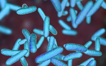 بطری آب چندبار مصرف: قاتل خاموش