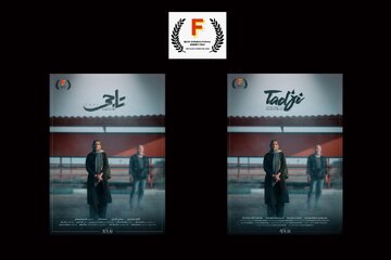 «تاجی» به جشنواره مورد تأیید اسکار و بفتا راه پیدا کرد