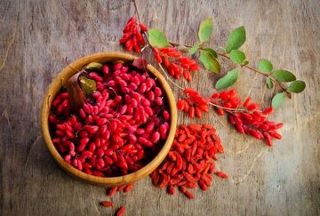 تغییر الگوی کشت محصولات پر آب بر در زرند