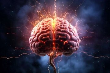 تقویت حافظه کوتاهمدت/ چرا گاهی اسمها را فراموش میکنیم؟